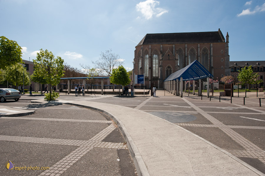 Nom de l'image : D30102192a_(c)Norbert-JUNG.com — Description :